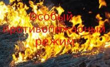 Пожарно-спасательная служба Иркутской области сообщает, что с 10 апреля по 15 июня 2019 г. на территории Иркутской области вводится особый противопожарный режим