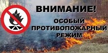 «Сообщает служба 01» Особый противопожарный режим введен на территории Иркутской области с 15 апреля